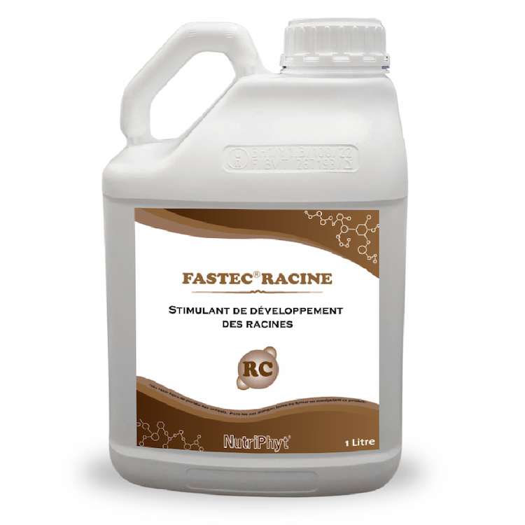 FASTEC RACINE