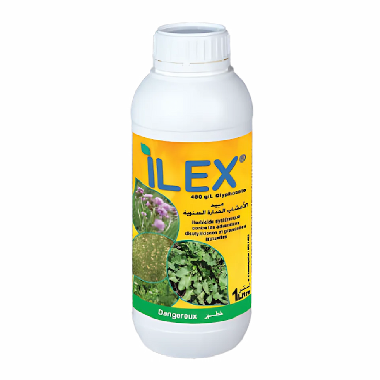 ILEX