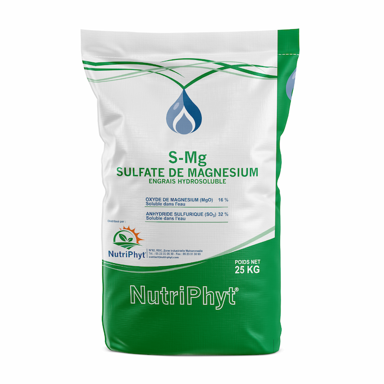 S-Mg Sulfate de magnésium