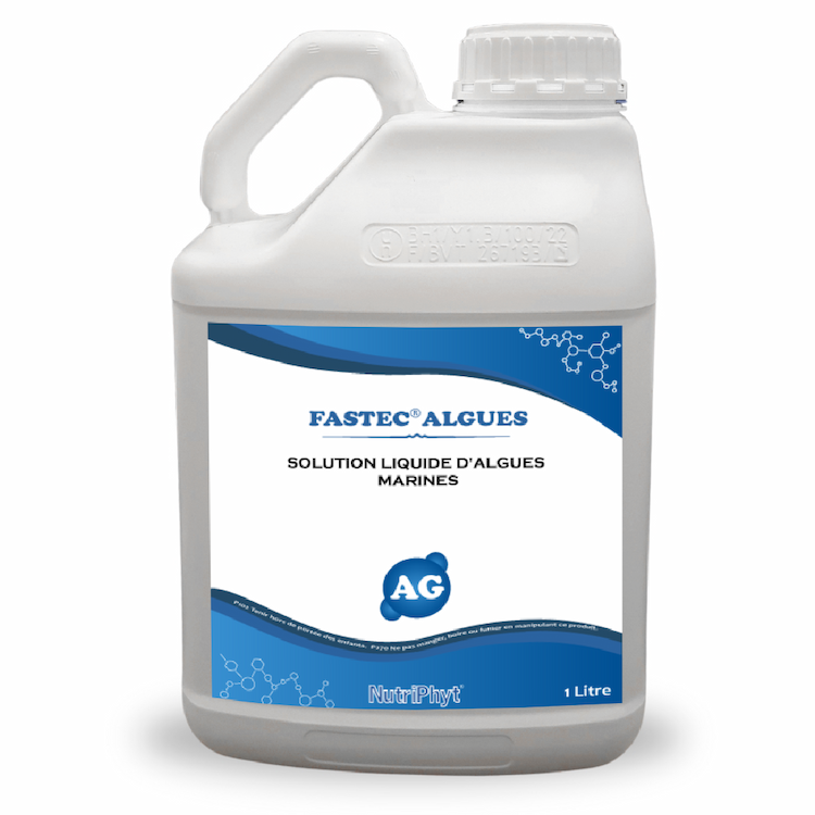 FASTEC ALGUES
