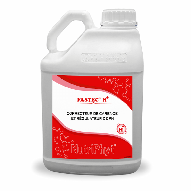 FASTEC H+