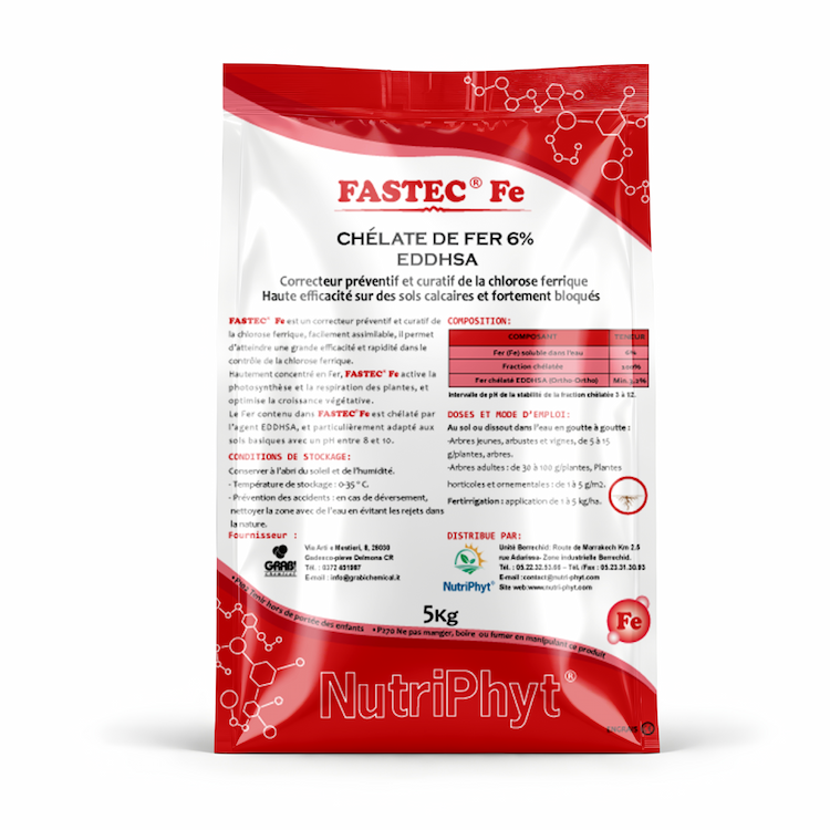 FASTEC FE