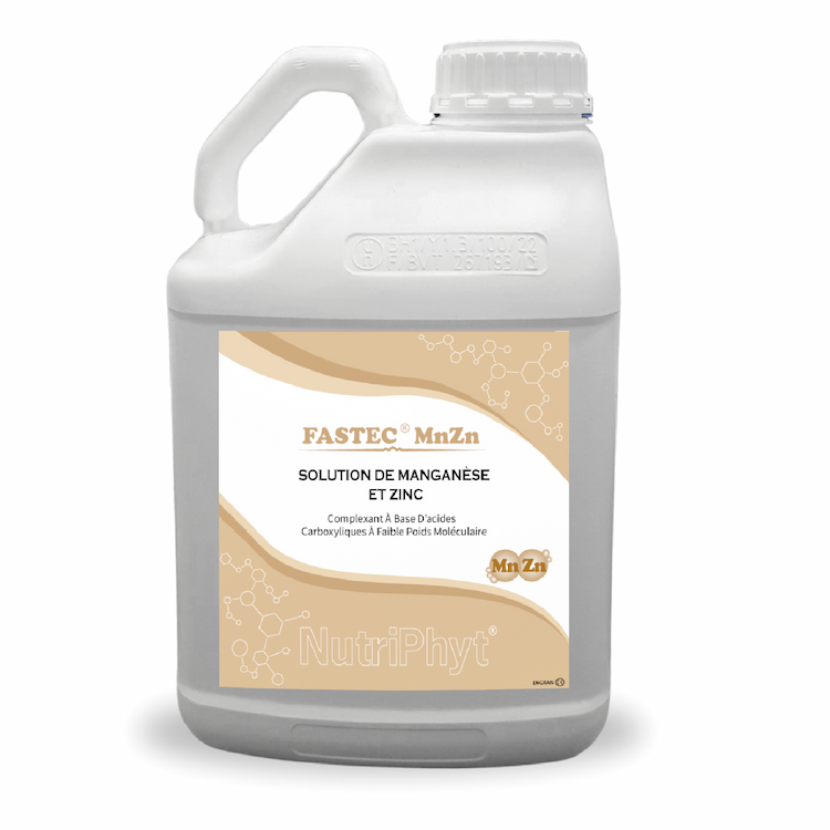 FASTEC MNZN