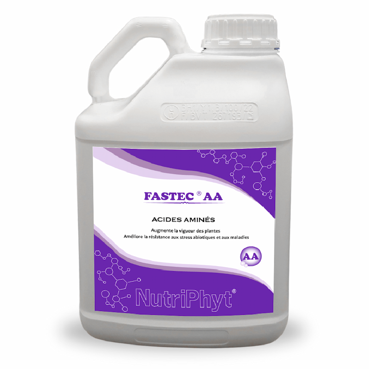 FASTEC AA