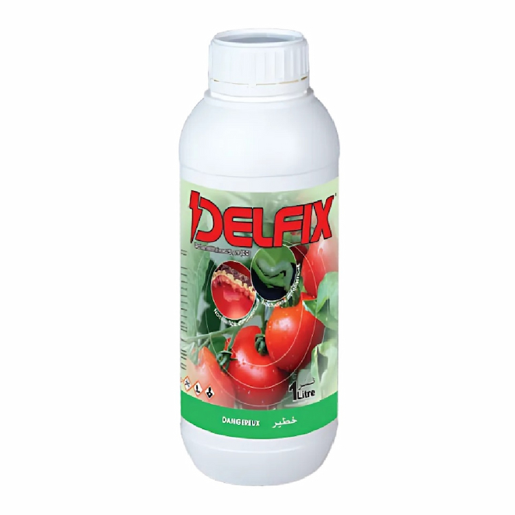 DELFIX
